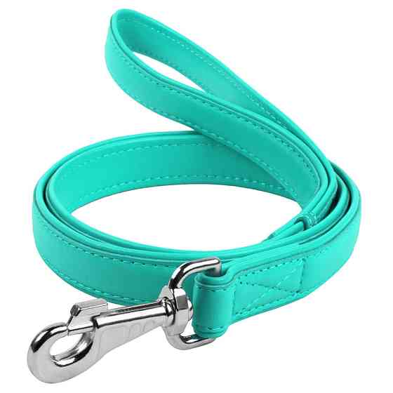 Повідець для собак шкіряний WAUDOG Glamour, Ш 25 мм, Дов 122 см ментоловий Коломия