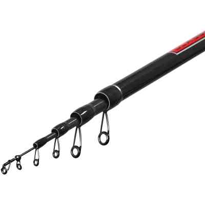 Вудилище Brain Classic Strong Bolo 5.00m 10-30g (1858.55.00) Вінниця