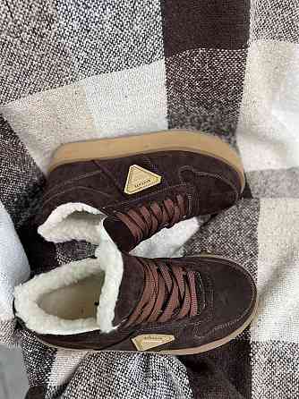 Molly Кроссовки женские MOLLY коричневые натуральная замша зимние размер 37-40 (5653) Коломыя