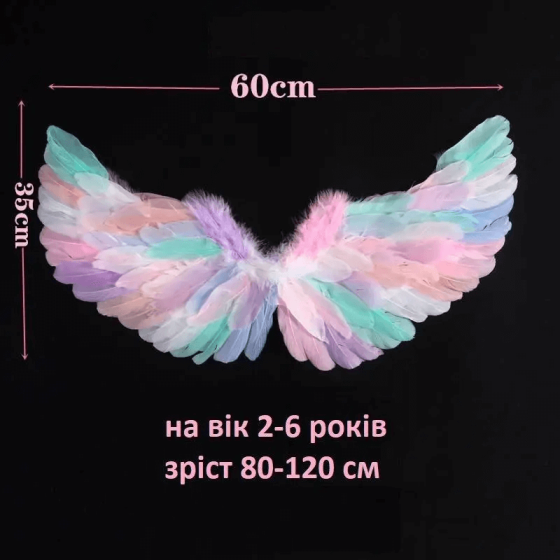 Крила кольорові з пір'я маленькі 35*60 см Київ