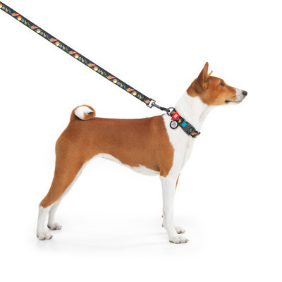 Ошейник для животных WAUDOG Nylon с QR паспортом "Рик и Морти 3" пластиковый фастекс XL (4504-0282) Винница - изображение 4