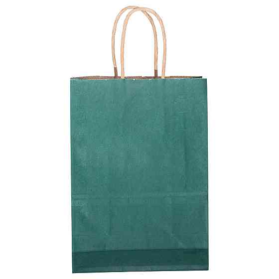 Набір подарункових крафтових пакетів з паперу 12 (шт.) гарні пакети для подарунків 15×8×21 (см) Зелений HP-10359-5GR Київ