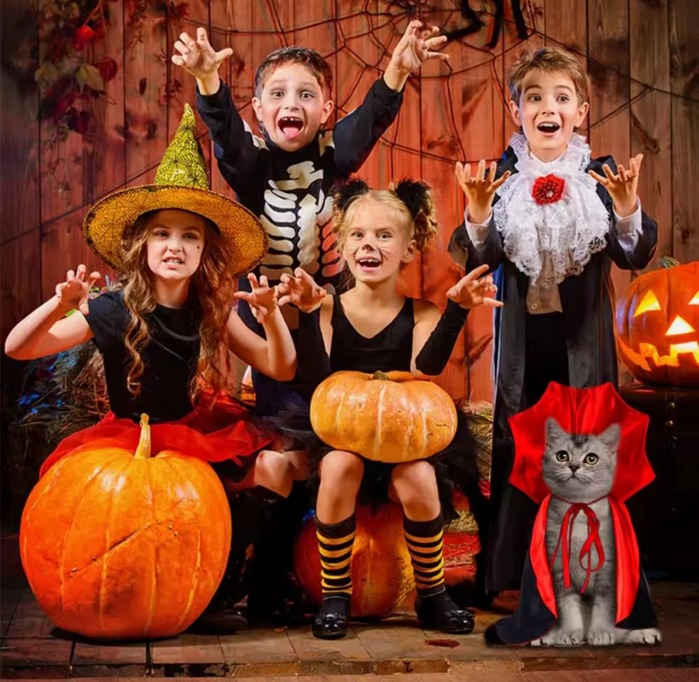 Плащ для собак і котів Вампір Хелловін М чорно-червоний Київ - фото 8