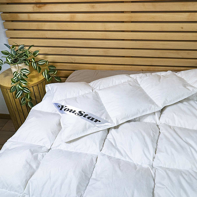 Напівпухова Евро ковдра YouStar 50% пух 50% перо, розмір 200х220 см (Білий) Суми - фото 14