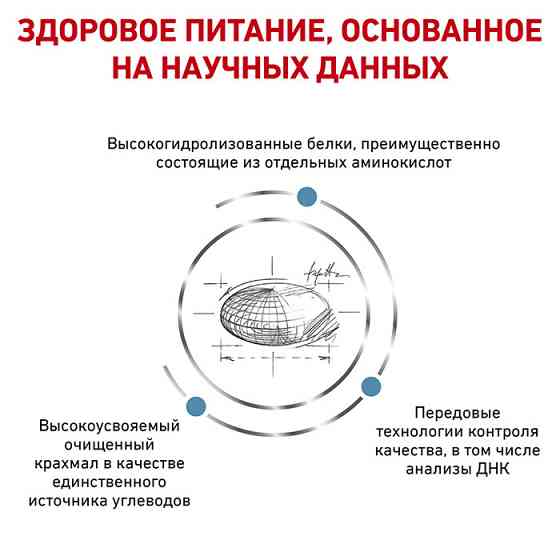 Royal Canin Anallergenic (Роял Канін Аналердженік) сухий корм для собак у разі небажаної реакції на корм Запоріжжя