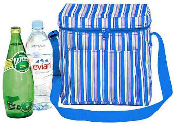 Термосумка Time Eco TE-3010SX 10 л, синя Київ
