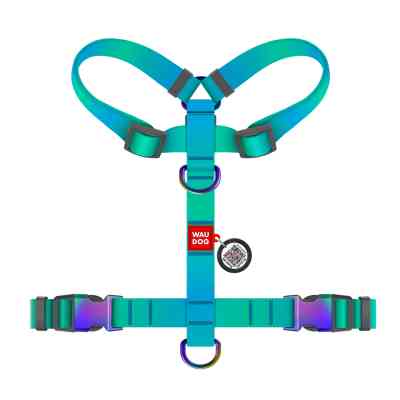 Шлея для собак WAUDOG Nylon Recycled анатомічна H-подібна з QR-паспортом, градієнт, S блакитна (52862) Вінниця