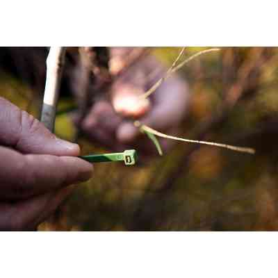 Стяжка Neo Tools 50шт, пластик, 4.8х160мм, зелена (15-979) Вінниця