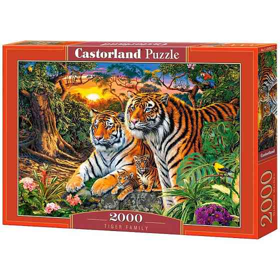 Пазл Castorland 2000 Киев