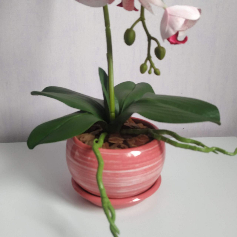 Штучна латексна орхідея VIP в рожевому керамічному кашпо на одну гілку біло-рожева Дніпро - фото 2