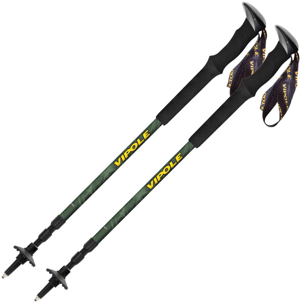 Палки трекинговые Vipole Discovery DLX (S25 13) Вінниця - фото 1