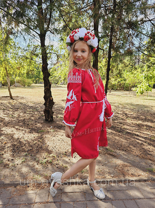 Платье вышиванка красное с ласточками 134-140 Кривой Рог - изображение 9
