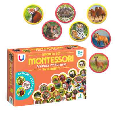 Обучающий набор DoDo Магнитный набор Монтессори Животные на континентах: Евразия (200285) Винница