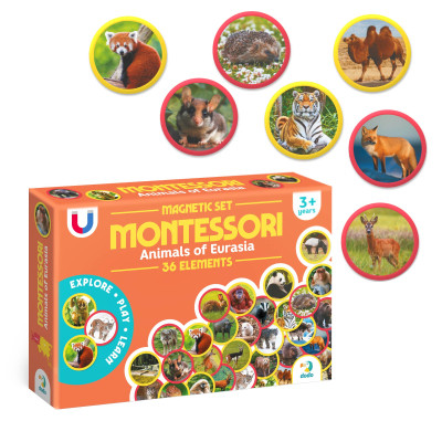 Обучающий набор DoDo Магнитный набор Монтессори Животные на континентах: Евразия (200285) Винница - изображение 2