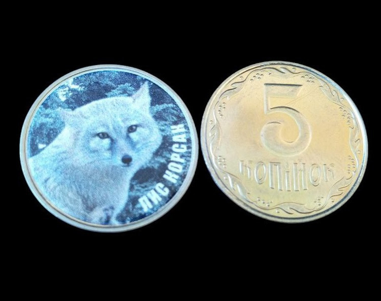 Україна 5 копійок монета нової серії ПРИРОДА УКРАЇНИ ЛИС КОРСАК Полтава - фото 1