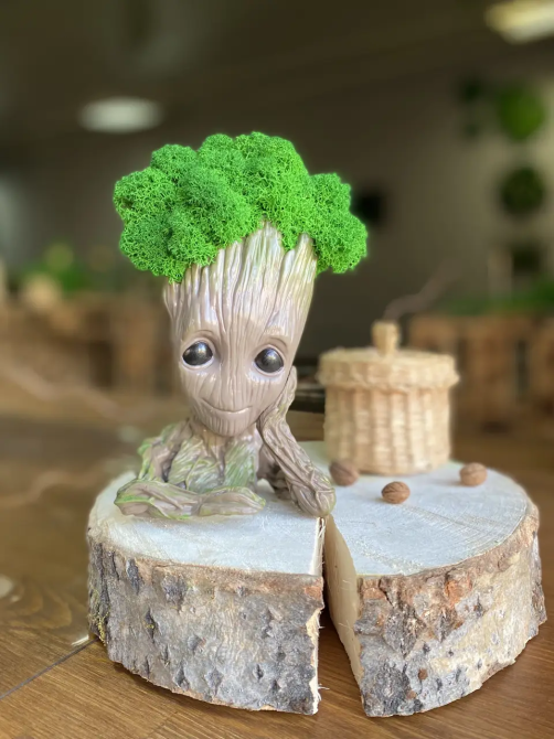 Кашпо горщик зі стабілізованим мохом Грут Groot G1 Київ - фото 7