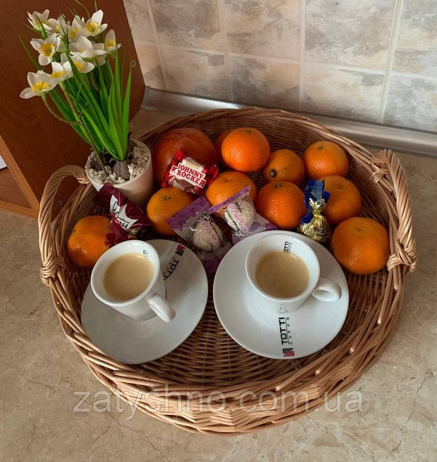 Поднос плетеный из лозы Киев - изображение 7