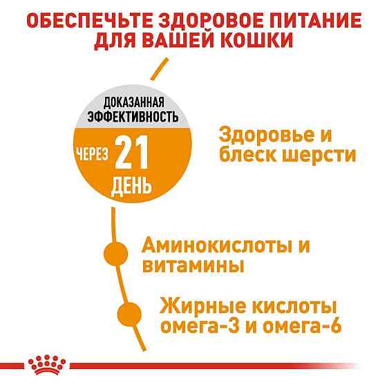 Royal Canin Hair and Skin Care (Рояв Канін Хейр енд Скін Кер) сухий корм для кішок для шкіри і вовни від 12 міска 10 кілограмів. Запоріжжя
