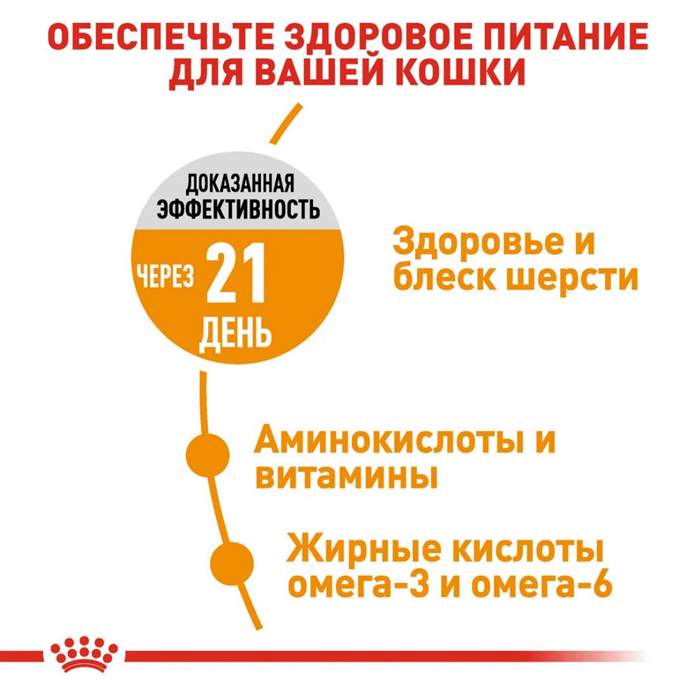 Royal Canin Hair and Skin Care (Рояв Канін Хейр енд Скін Кер) сухий корм для кішок для шкіри і вовни від 12 міска 10 кілограмів. Запоріжжя - фото 3