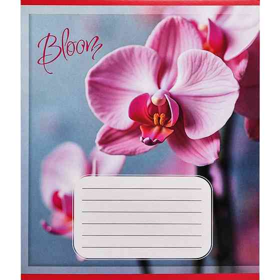 Тетрадь ученическая 