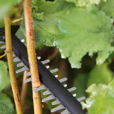 Кусторез Bosch аккумуляторный UniversalHedgeCut 18V-50 18V, 2.5Ah, 50мм, шаг реза 20мм (0.600.849.K01) Винница