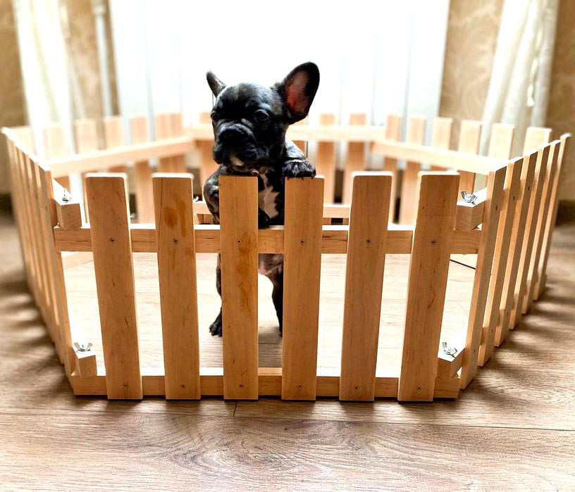 Вольєр для цуценят "Діджель" бланже Миколаїв - фото 2