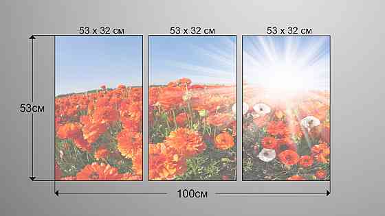 Модульна картина Квіти Маки Art-19_3А Київ