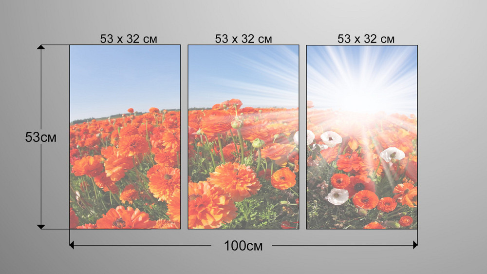 Модульна картина Квіти Маки Art-19_3А Київ - фото 3
