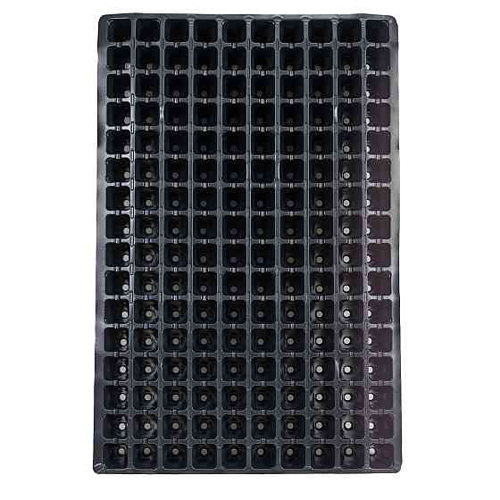 Касета для розсади 60*40 см 160 комірки Дніпро