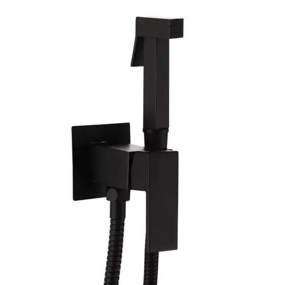 Гігієнічний душ прихованого підключення Frap F7506-6 чорний Київ