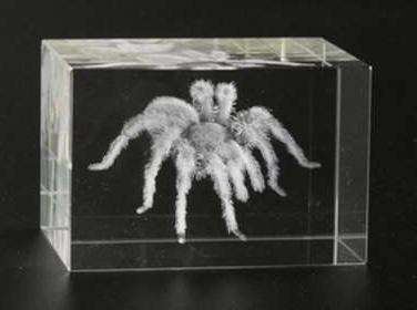 Статуэтка хрусталь голограмма Паук Киев - изображение 1