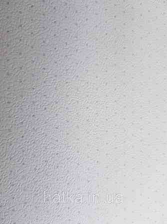 Шпалери вінілові на флізелін Petite Fleur 4 Rasch Texti 288802 однотонні білі з блакитними точками Київ