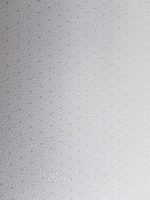 Шпалери вінілові на флізелін Petite Fleur 4 Rasch Texti 288802 однотонні білі з блакитними точками Київ - фото 2