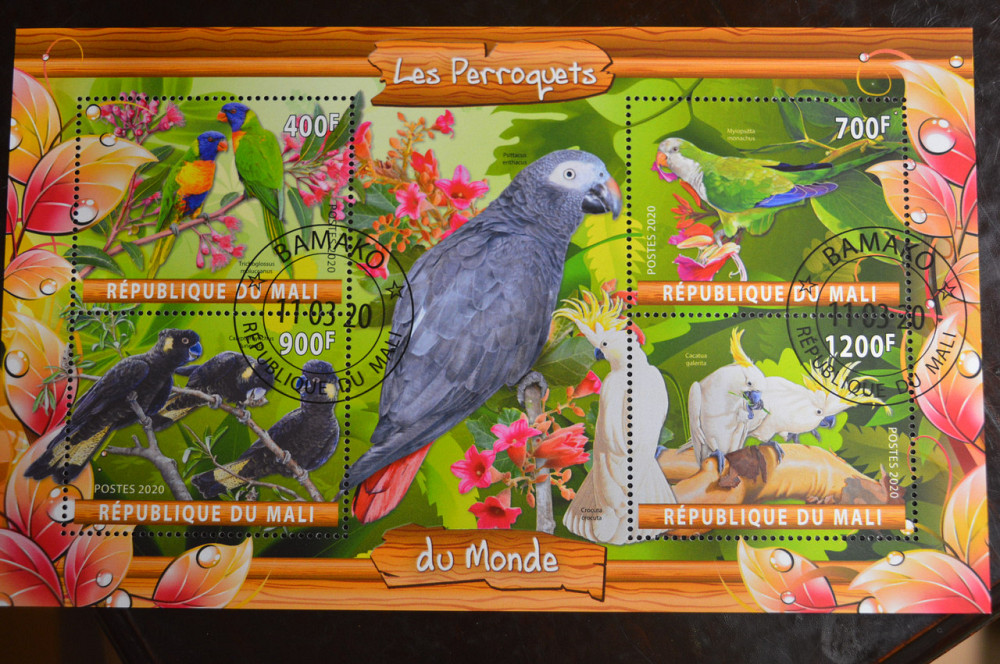 Мали. Марки. Фауна. Блок. 2020 год (В-2) Полтава - изображение 1