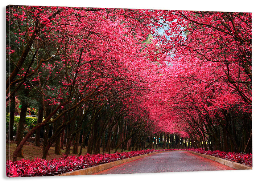 Картина полотно у вітальню / спальню     Природа    MLP_155  ( 60х30см ) 80x120 см Київ - фото 1