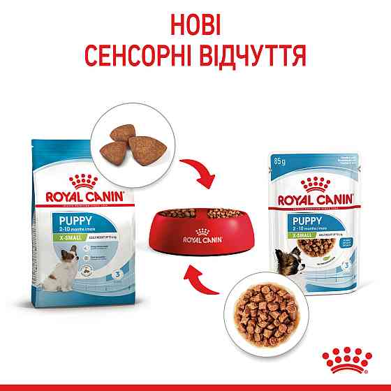 Вологий корм для цуценят ROYAL CANIN XSMALL PUPPY 0.085 кг Київ