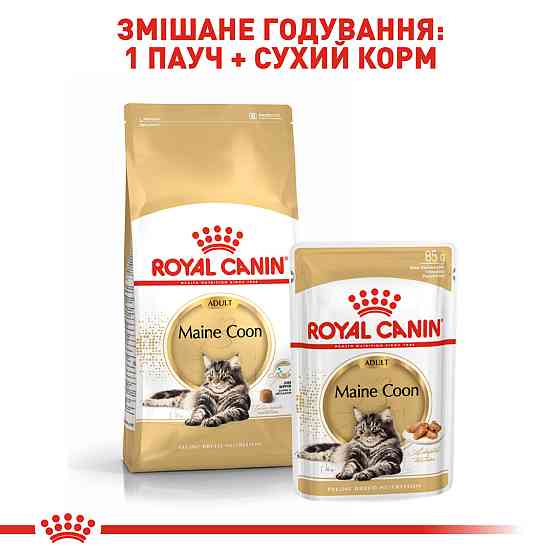 Вологий корм для дорослих котів ROYAL CANIN MAINECOON ADULT 0.085 кг Київ