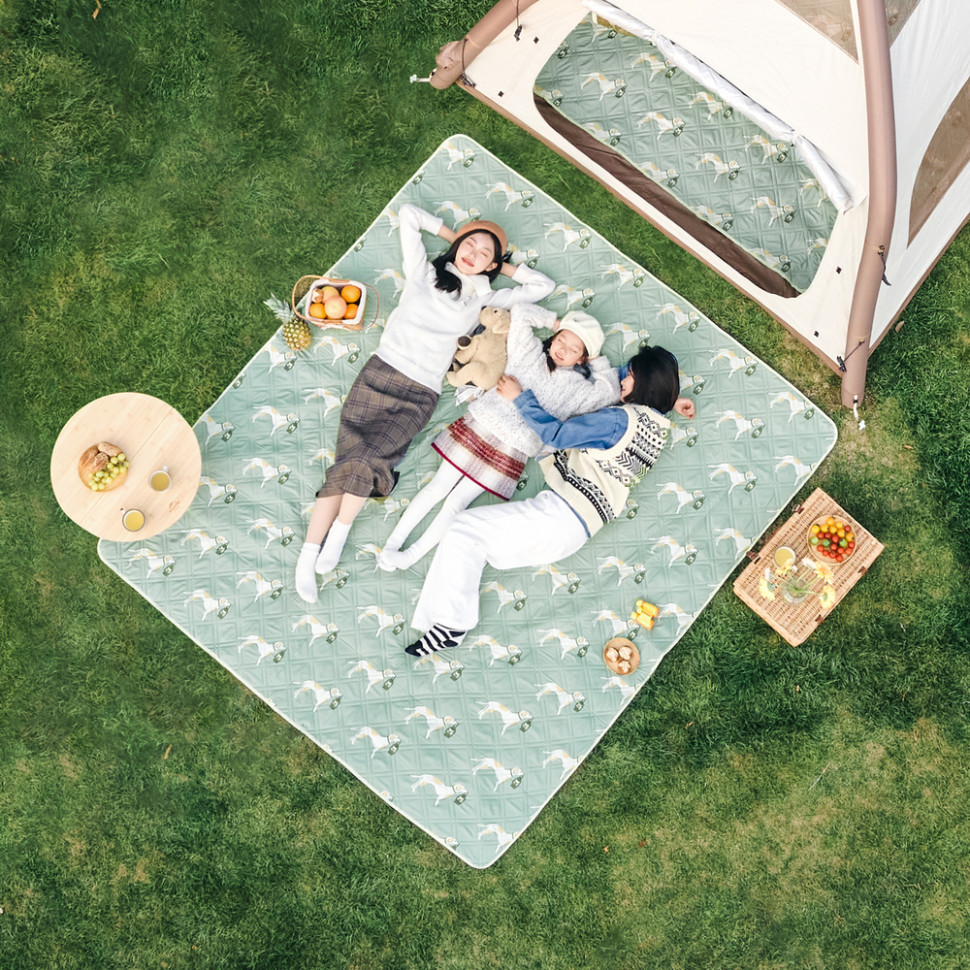 Килимок для пікніка Naturehike CNK2350WS010 210*240 см, блакитний із принтом Київ - фото 7