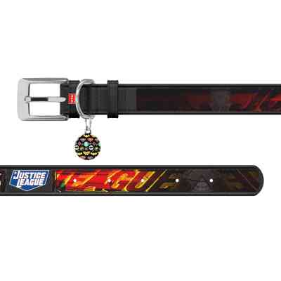 Ошейник для животных WAUDOG Design с QR паспортом "Лига справедливости" Ш 20 мм Д 29-38 см черный (0020-1010-01) Винница