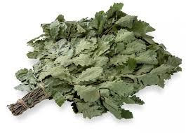 Веник для бани, сауны 