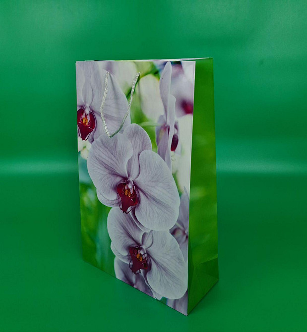 Пакет бумажный гигант вертиркальный (30х42х12)(артGV-078) (12 шт) Харьков - изображение 1