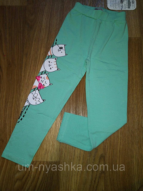 Лосины детские с котиками 98, 116 Кривой Рог - изображение 2