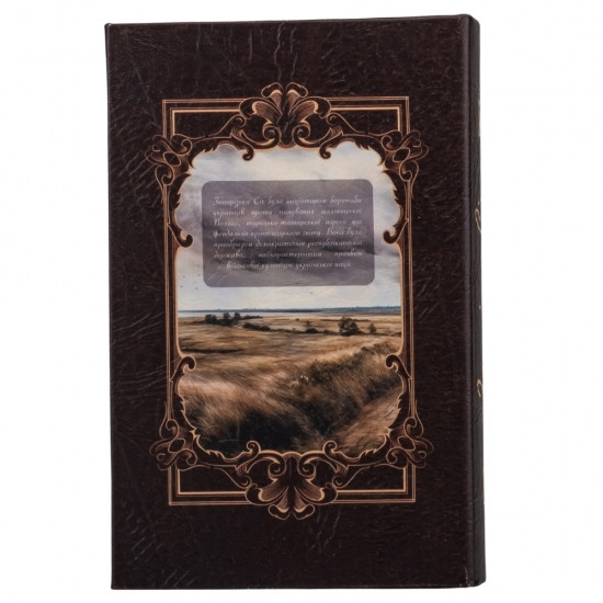 Книга сейф с замком Богдан Хмельницкий 26 см Винница - изображение 3