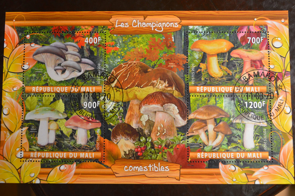 Мали. Марки. Фауна. Блок. 2020 год (В-2) Полтава - изображение 1