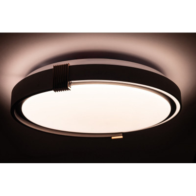 Светильник Vestum COLISEUM матовий 60W 395*60мм 3000К-6500К з ДК білий з чорним (VS-91067) Винница - изображение 6