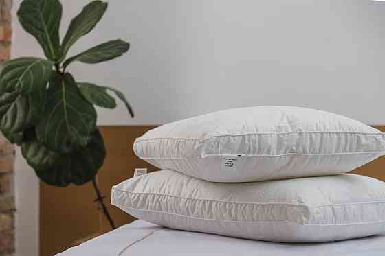 Ecotton Подушка Ecotton 50х70 см Ecofill Premium антиалергенна з кантом біопух біла в чохлі для Коломия