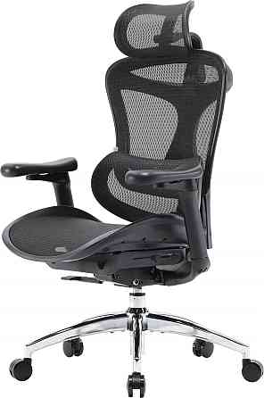 Крісло офісне Sihoo Doro C300L Mesh Black (DORO-C300L-A3-101) ( 15290 ) Харків