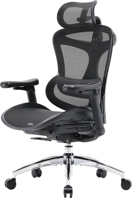 Крісло офісне Sihoo Doro C300L Mesh Black (DORO-C300L-A3-101) ( 15290 ) Харків - фото 4