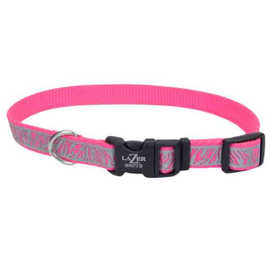 Coastal Lazer Brite Reflective Collar КОСТАЛ ЛАЗЕР БРАЙТ светоотражающий ошейник для собак, 1.6х30-46см Киев