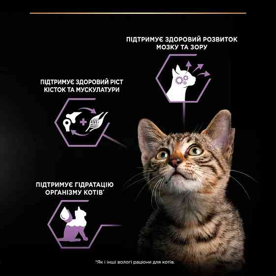 Вологий корм PRO PLAN Kitten Healthy Start для кошенят, шматочки у підливці, з індичкою, 85 г Київ